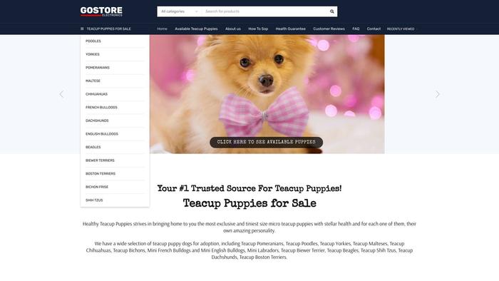 Healthyteacuppuppies.com - Yorkshire Terrier Puppy Scam Review