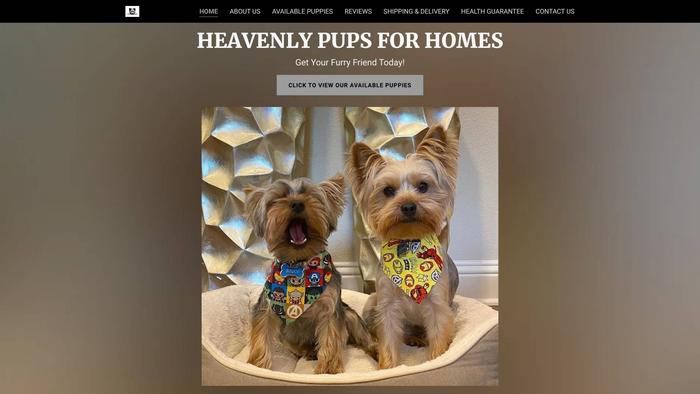 Heavenlypups4homes.com - Yorkshire Terrier Puppy Scam Review