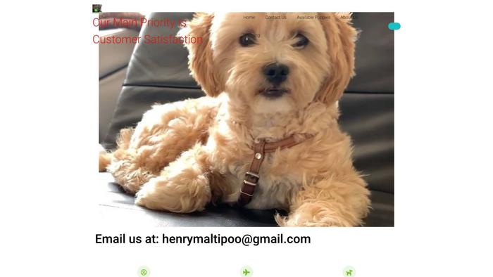 Henrymaltipoohome.com - Maltipoo Puppy Scam Review