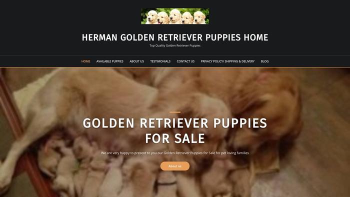 Hermangoldenretrieverpuppieshome.com - Golden Retriever Puppy Scam Review