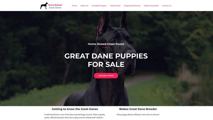 Homeraisedgreatdaness.com - Great Dane Puppy Scam Review