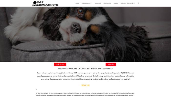 Homeraisedpuppiesforsale.com - Cavalier King Charles Spaniel Puppy Scam Review