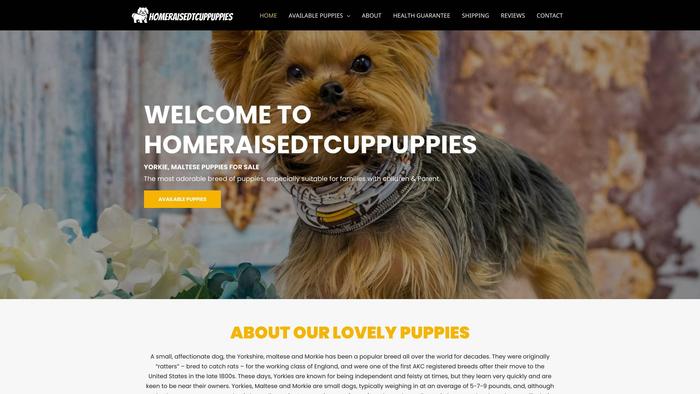 Homeraisedtcuppuppies.com - Yorkshire Terrier Puppy Scam Review