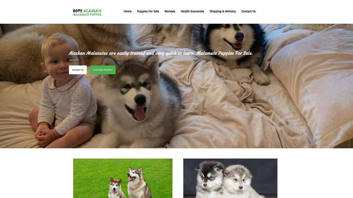 Hopealaskanmalamutepuppies.com - Malamute Puppy Scam Review