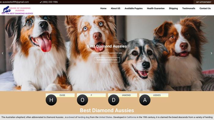 Houseofdiamondaussies.com - Australian Shepherd Puppy Scam Review