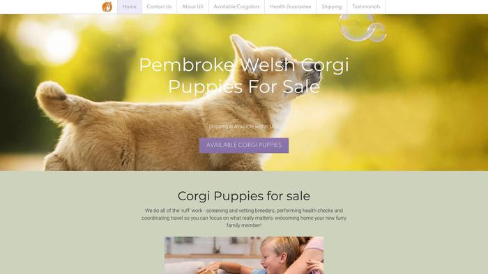 Iconiccorgipuppies.com - Corgi Puppy Scam Review