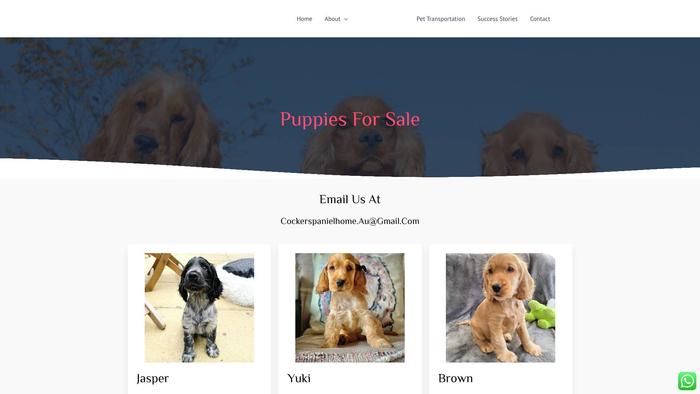 Idealcockerspaniels.com - Cockerspaniel Puppy Scam Review