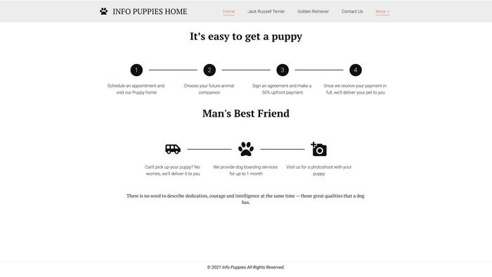 Infopuppies.net - Jack Russell Terrier Puppy Scam Review