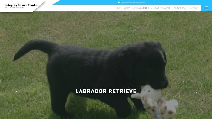 Integritysolacefondle.com - Shichon Puppy Scam Review