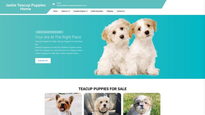 Jaelleteacuppuppieshome.com - Yorkshire Terrier Puppy Scam Review