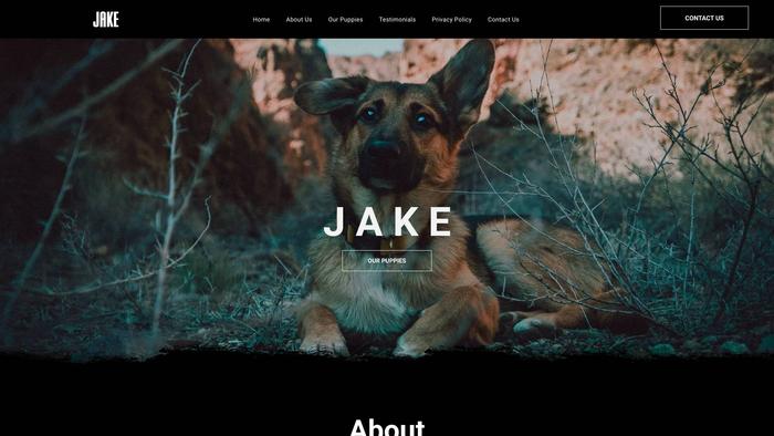 Jakesgermanshepherd.com - Germanshepherd Puppy Scam Review