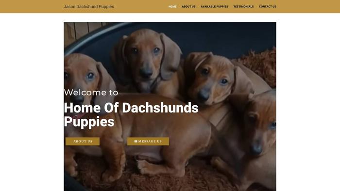 Jasonsdachshundpuppies.com - Dachshund Puppy Scam Review