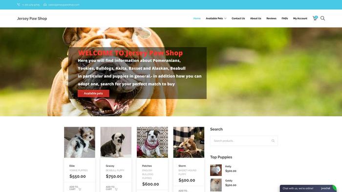 Jerseypawshop.com - Yorkshire Terrier Puppy Scam Review