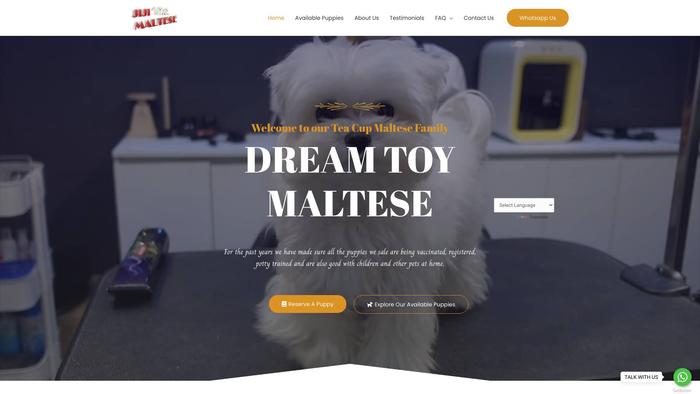 Jijimaltese.com - Maltese Puppy Scam Review