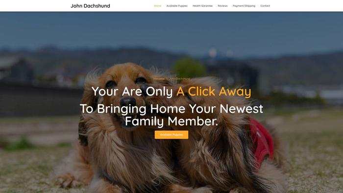 Johndachshund.com - Dachshund Puppy Scam Review