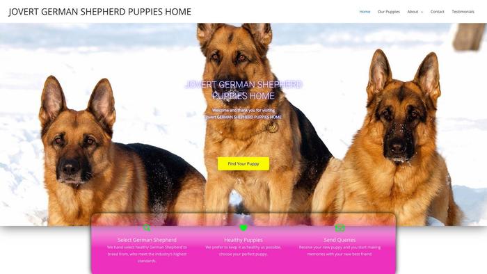 Jovertgermanshepherdpuppieshome.com - Germanshepherd Puppy Scam Review