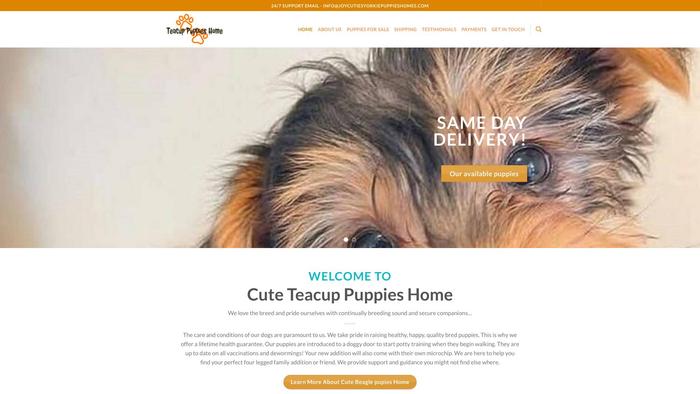 Joycutiesyorkiepuppieshomes.com - Yorkshire Terrier Puppy Scam Review