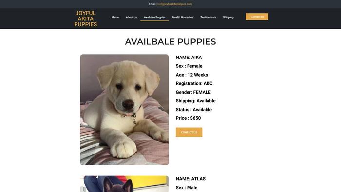 Joyfulakitapuppies.com - Akita Puppy Scam Review