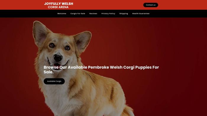 Joyfullywelshcorgiarena.com - Corgi Puppy Scam Review