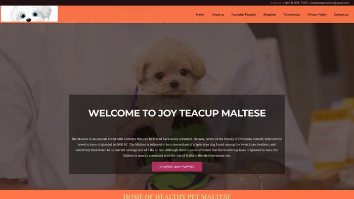 Joyteacupmaltese.com - Maltese Puppy Scam Review