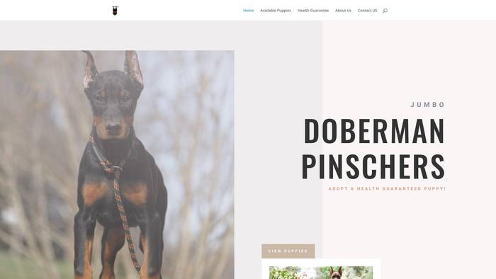 Jumbodobermanpinschers.com - Doberman Pinscher Puppy Scam Review