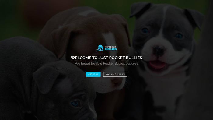 Justpocketbullies.com - Bulldog Puppy Scam Review