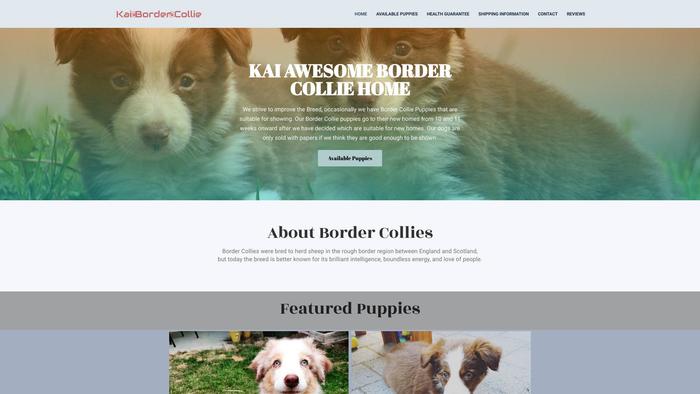 Kaiawesomebordercollie4home.com - Bordercollie Puppy Scam Review