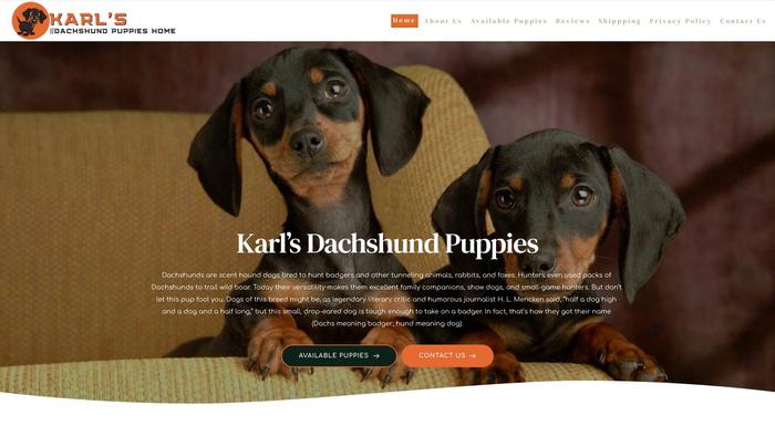 Karlsdachshundpuppies.com - Dachshund Puppy Scam Review