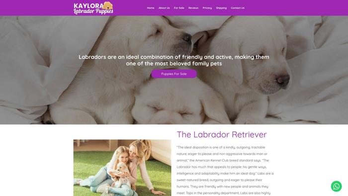 Kayloralabradorpuppies.com - Labrador Puppy Scam Review