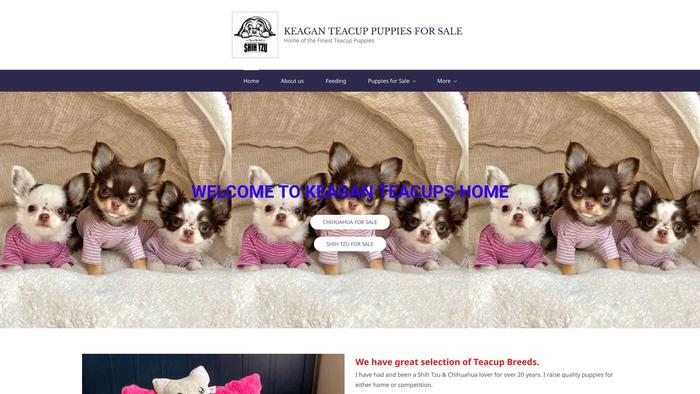 Keaganteacuppuppies.com - Yorkshire Terrier Puppy Scam Review