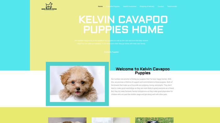 Kelvincavapoopuppies.com - Cavapoo Puppy Scam Review