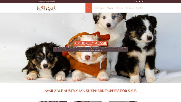 Kimberleyaussie.com - Australian Shepherd Puppy Scam Review