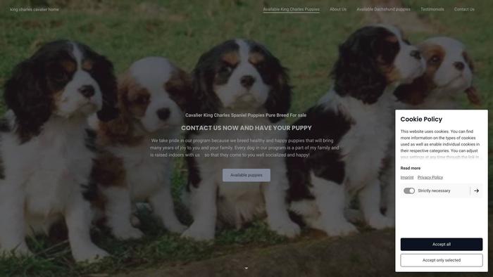 Kingcharlescavaliershome.com - Cavalier King Charles Spaniel Puppy Scam Review