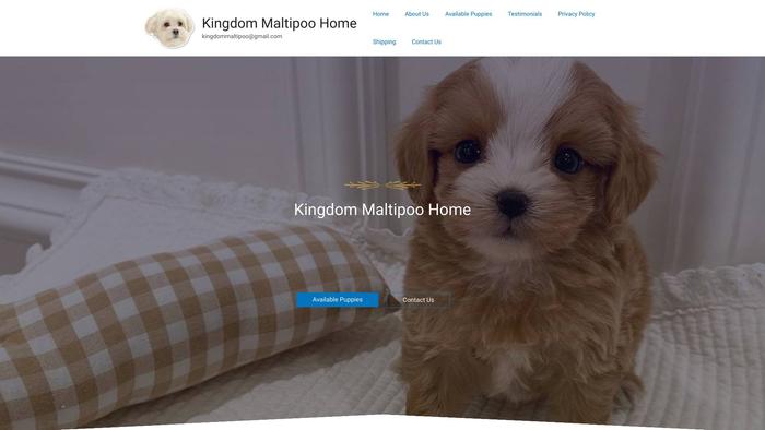 Kingdommaltipoo.com - Maltipoo Puppy Scam Review