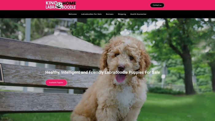 Kinglabradoodlehome.com - Labradoodle Puppy Scam Review