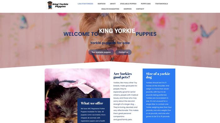 Kingyorkiepuppies.com - Yorkshire Terrier Puppy Scam Review