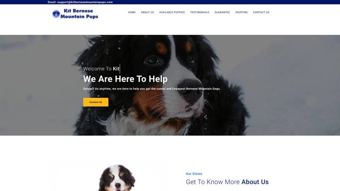 Kitbernesemountainpups.com - Bernese Mountain Dog Puppy Scam Review