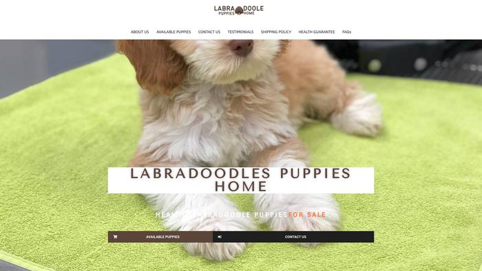 Labradoodlepuppieshome.com - Labradoodle Puppy Scam Review