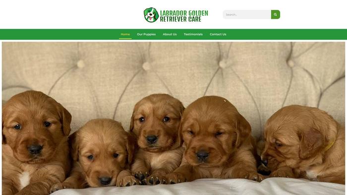 Labradorgoldenretrievercare.com - Golden Retriever Puppy Scam Review