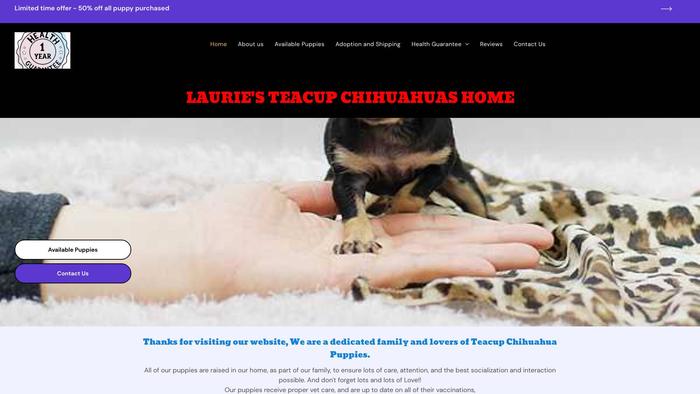 Lauriechihuahuas.com - Chihuahua Puppy Scam Review