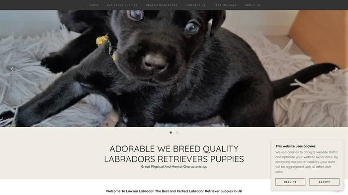 Lawsonlabradorpups.store - Labrador Puppy Scam Review