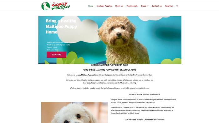 Legacymaltipoopuppies.com - Maltipoo Puppy Scam Review