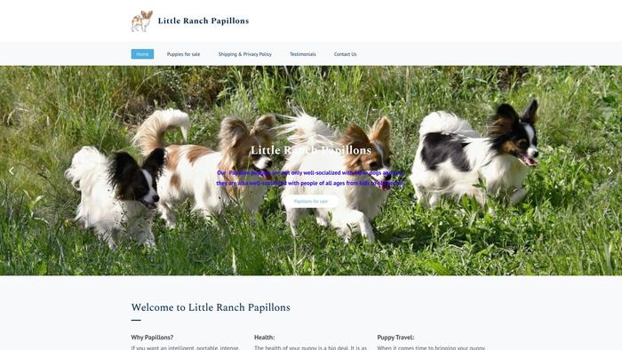 Littleranchpapillons.com - Papillon Puppy Scam Review