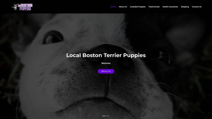 Localbostonterrierpuppies.com - Boston Terrier Puppy Scam Review