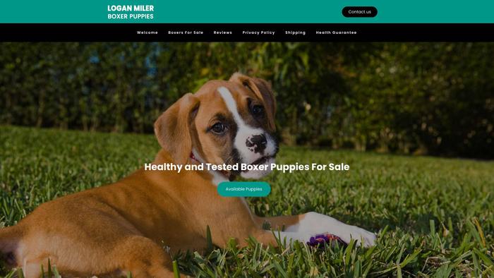 Loganmilerboxerpuppies.com - Boxer Puppy Scam Review