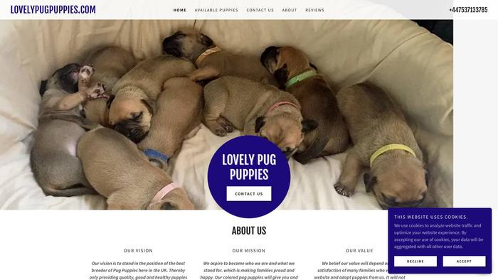 Lovelypugpuppies.com - Pug Puppy Scam Review