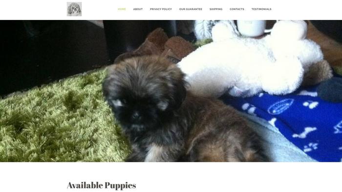 Lovelysmartshihtzupups.com - Shihtzu Puppy Scam Review