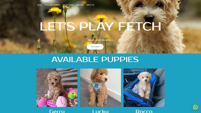 Lovepaws-poodles.com - Poodle Puppy Scam Review