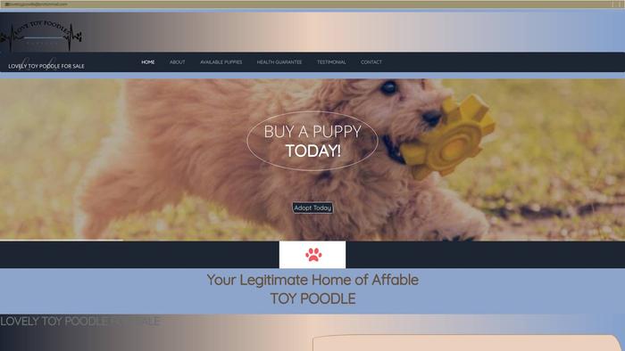 Lovetoypoodle.com - Poodle Puppy Scam Review