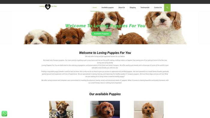 Lovingpuppiesforyou.com - Cavapoo Puppy Scam Review